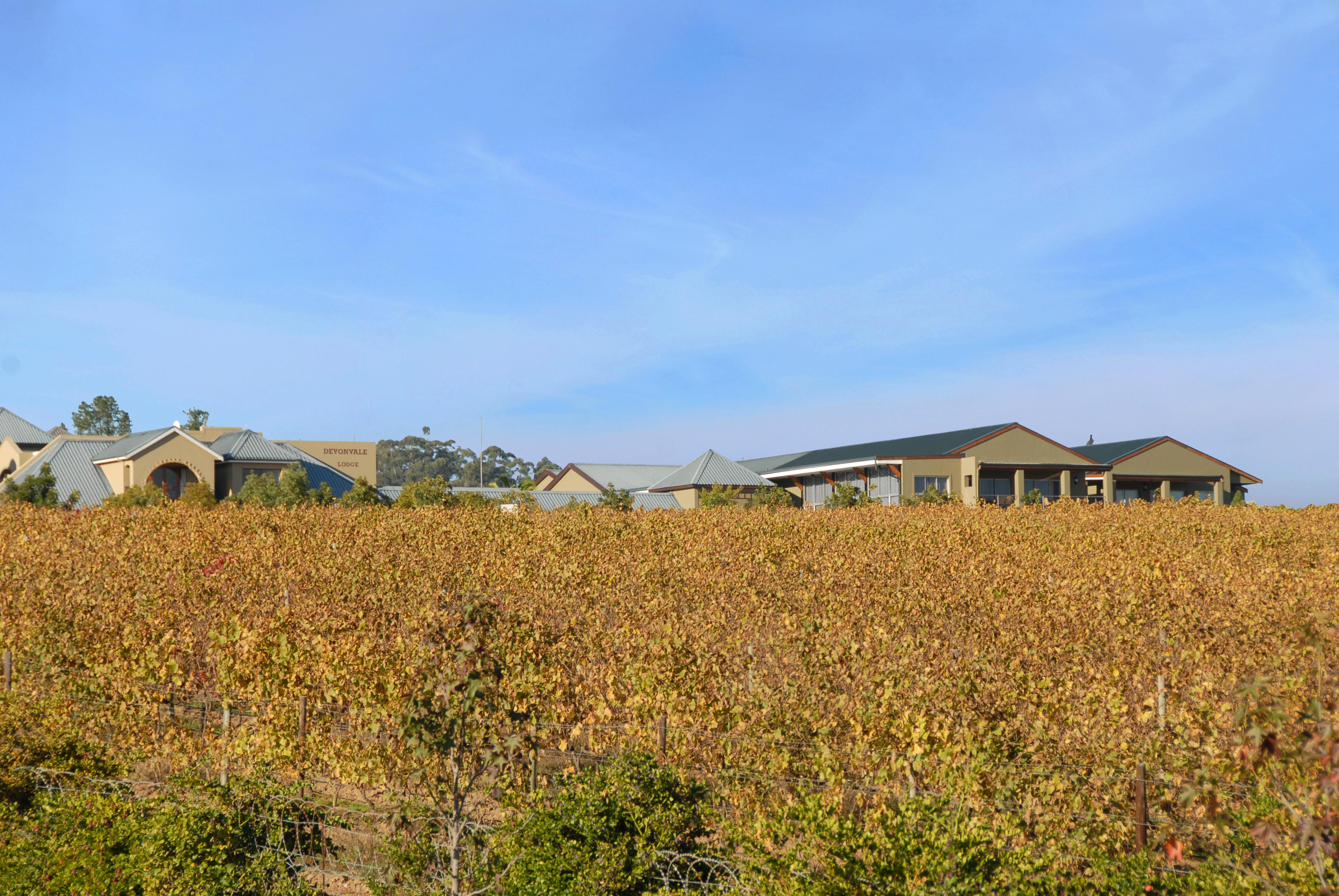 Hotel Devonvale Golf & Wine Estate 4*